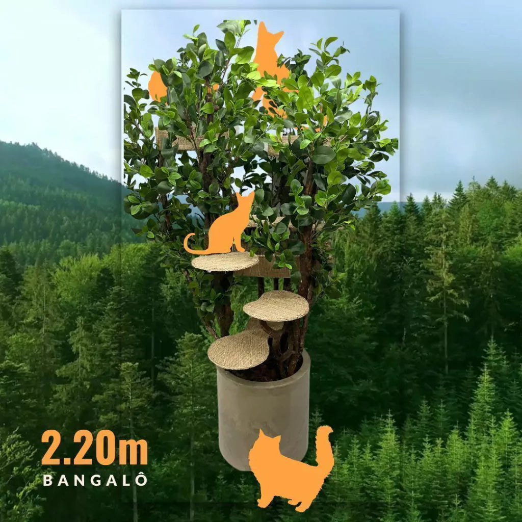 Bungalow Supreme Cat Tree 2.2m