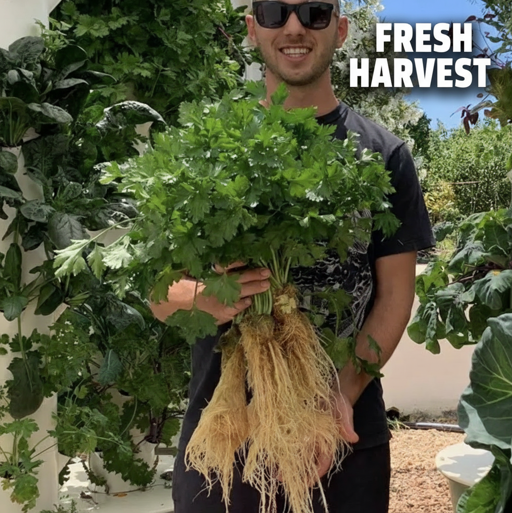 EcoTower Garden System